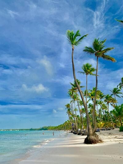 Dominican Republic Skyline