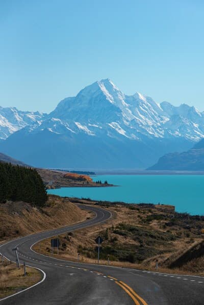 New Zealand Skyline